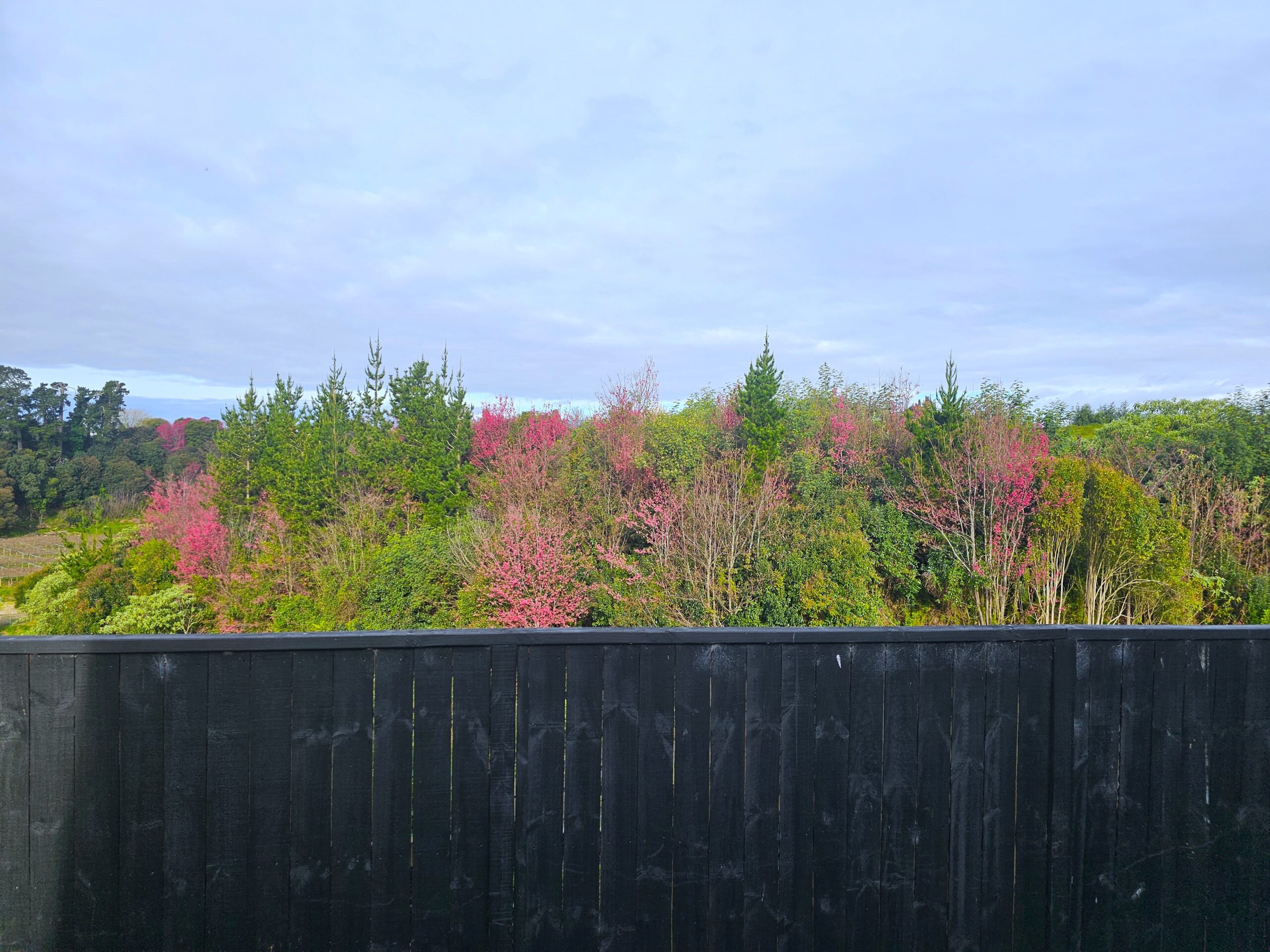 Property - View Scaled   Evans Property Management - Evans Property Management