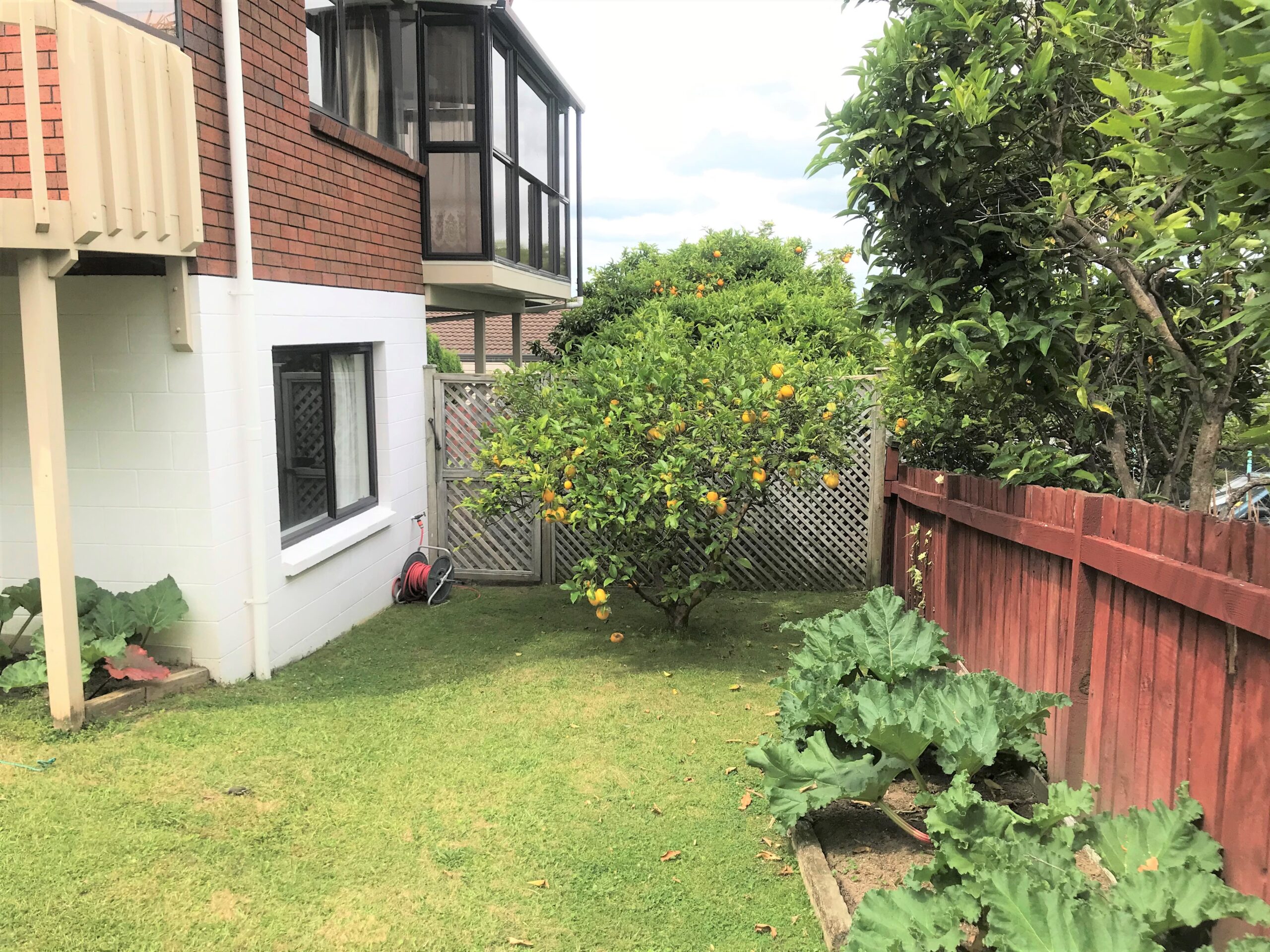 Property - FRUIT TREES Copy Scaled Evans Property Management - Evans Property Management