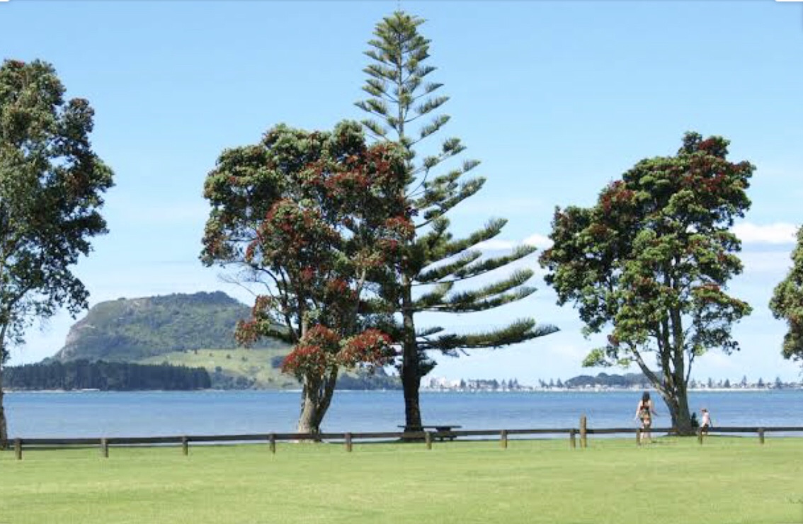 Property - IMG E9319 Copy Evans Property Management - Evans Property Management