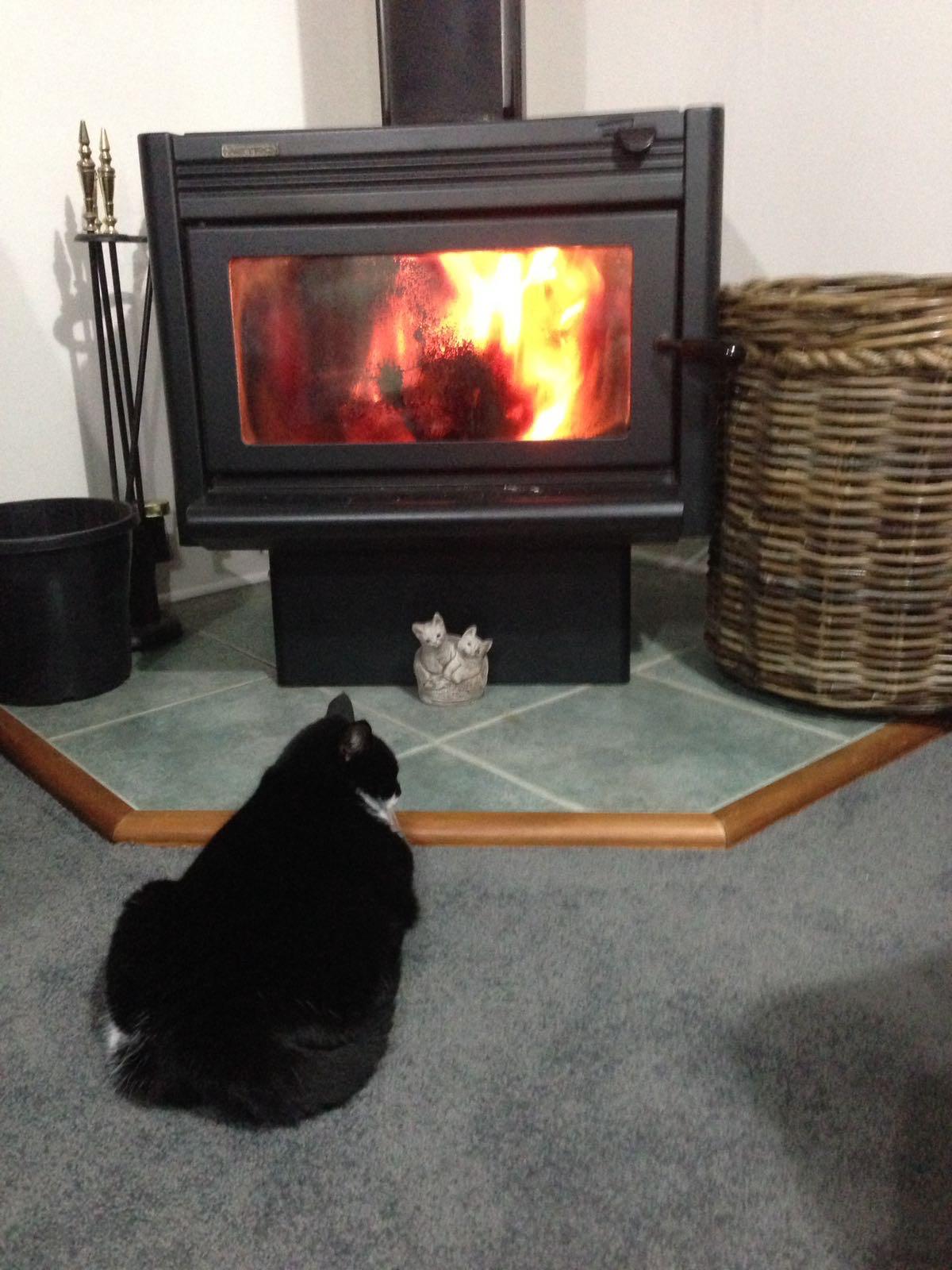 Property - IMG 20260305 WA0003   Evans Property Management - Evans Property Management