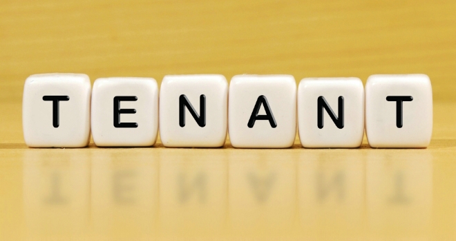 Choosing the Right Tenant- Tauranga Landlord Guide Part 3
