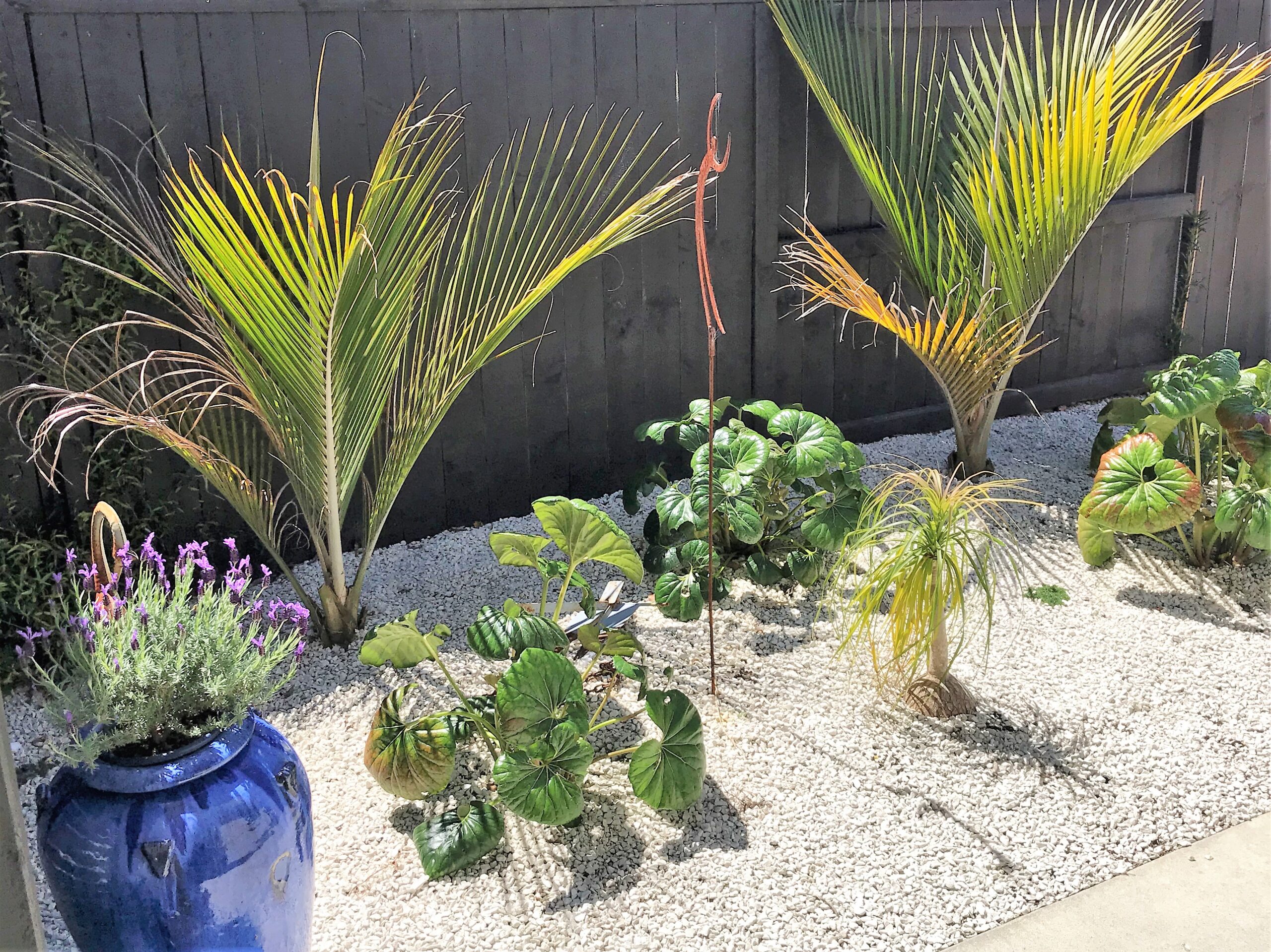 Property - Garden Scaled   Evans Property Management - Evans Property Management